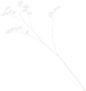Yorumlar