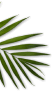 Yorumlar